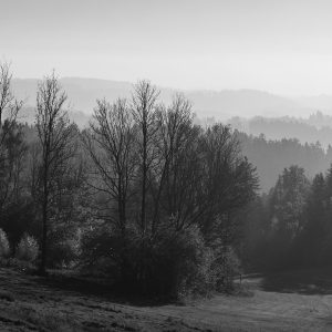 PremiumCraft Filtr Core