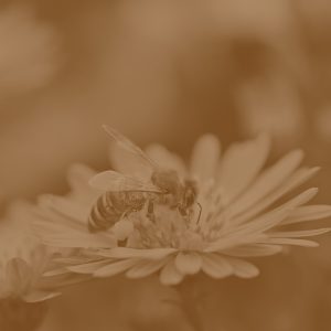 Modern Łóżko One III