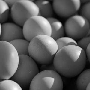 CrystalClear Dywan Pro